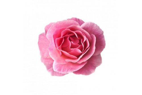 Спрей для обличчя CHYSTOTIL Гідролат Троянди (81.05Гд) - фото 2