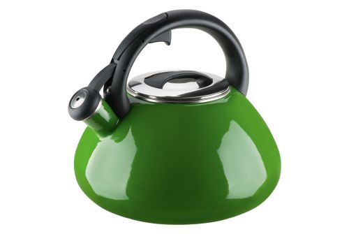 Эмалированный чайник со свистком GRANCHIO Colorito Verde зеленый 2.8 л 88626 - фото 1