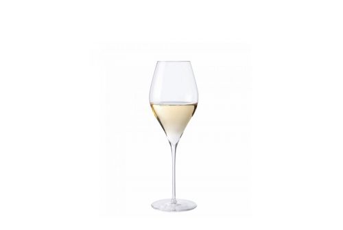 Бокал для белого вина LEONARDO XL Rossini 250 мл (69839) - фото 1